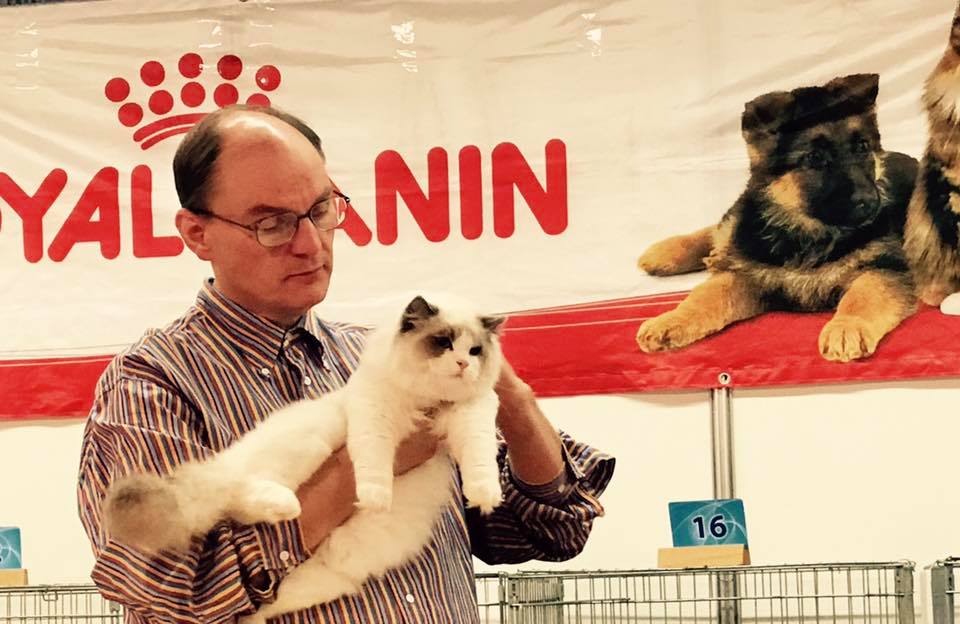 /images/Galeria/Kiállítások (Cat shows)/18739851_437016443332722_3788436097009618590_n.jpg